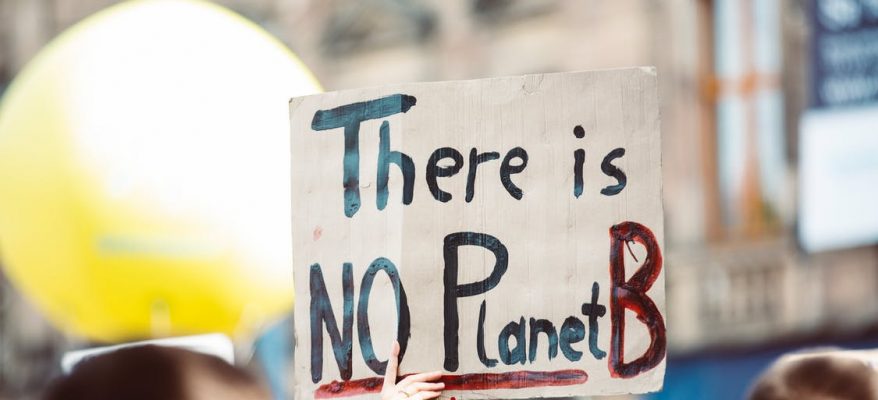 placard at a climate march, representing the need for climate action